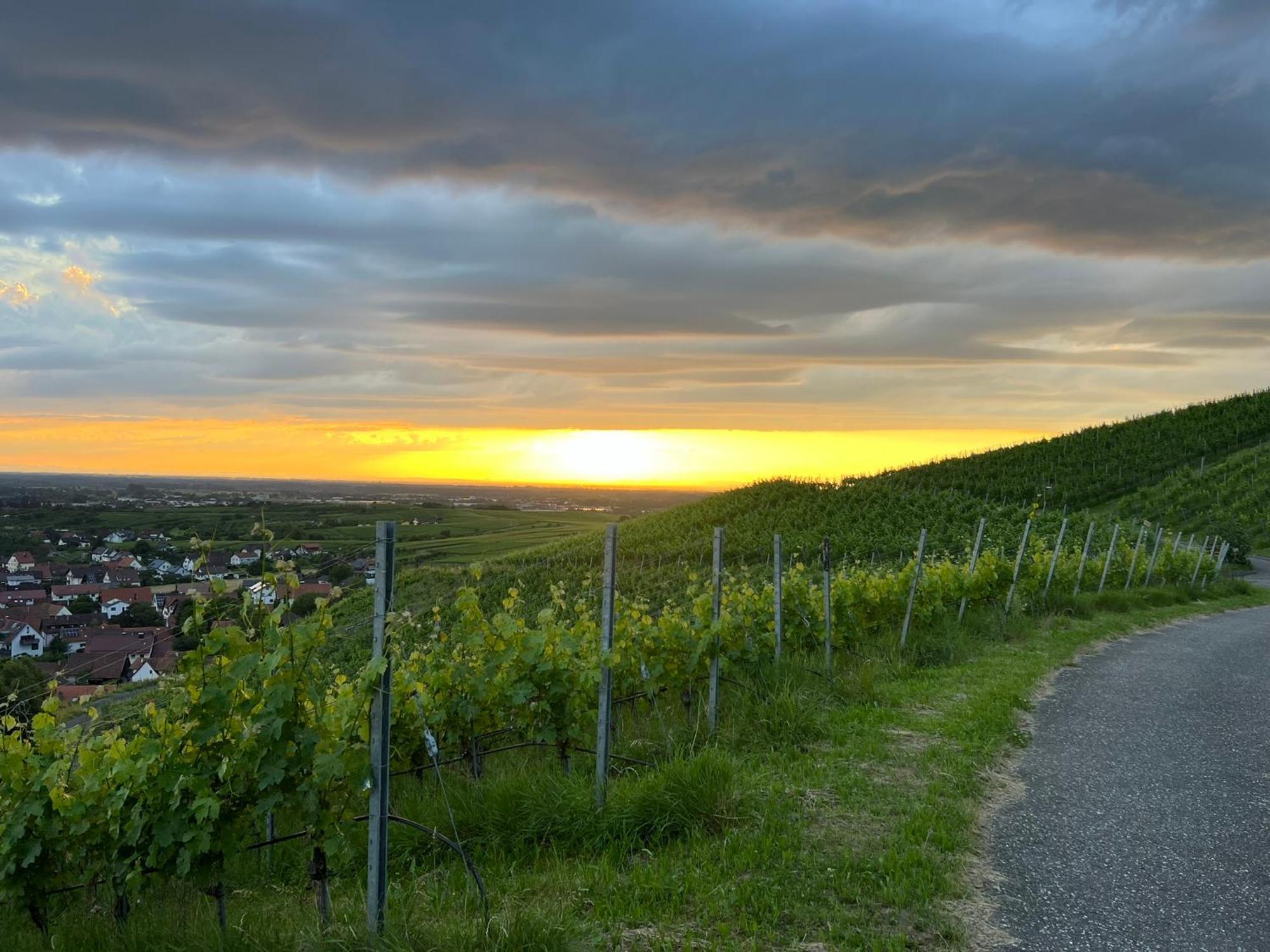 Romantisches Winzerhaeuschen Buhl Bagian luar foto